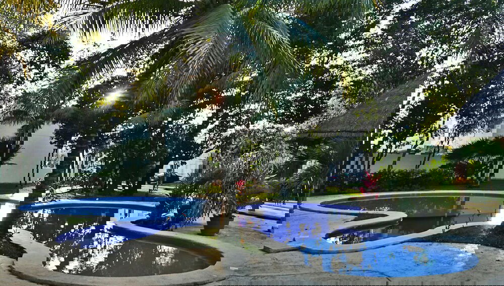 Image principale