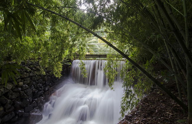 Quinta da Mó - Photo 22