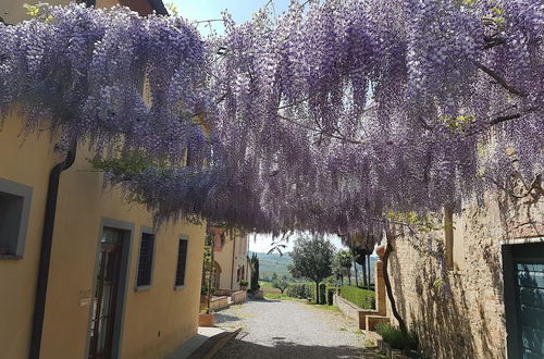 Photo 61 - Agriturismo FATTORIA ROZZALUPI