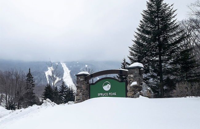 1230 Studio at The Lodge at Spruce Peak - Foto 11