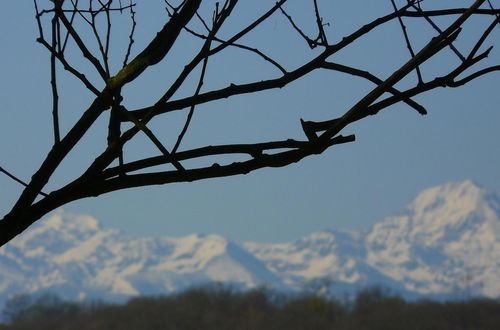 Foto 43 - Gite Au Bouzigues