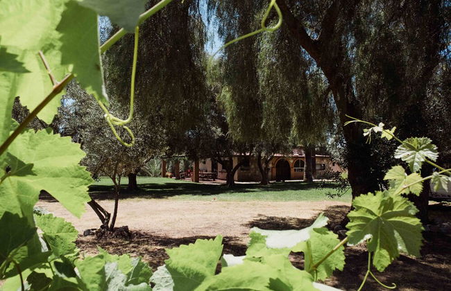 Rancho Toros Pintos - Foto 32