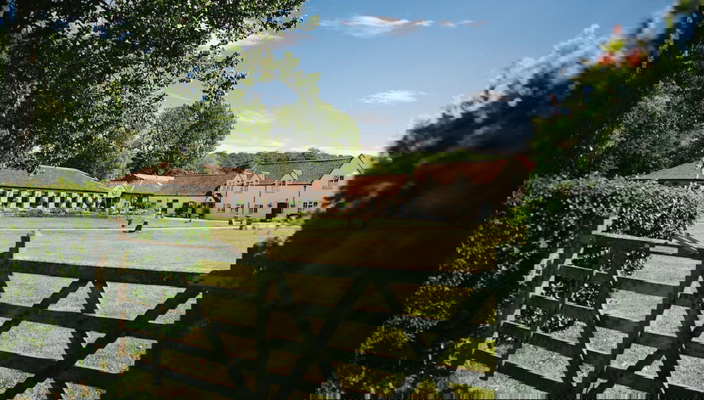 Primary image