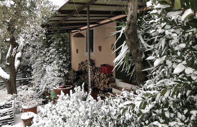 Agriturismo Podere Marchiano - Foto 72