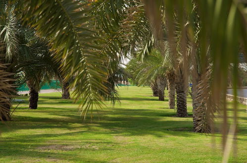 Photo 35 - Green Mubazzarah Chalets