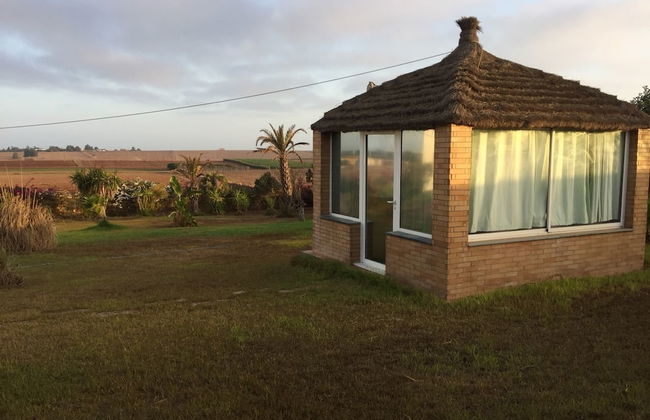 Villa Salma - Foto 13