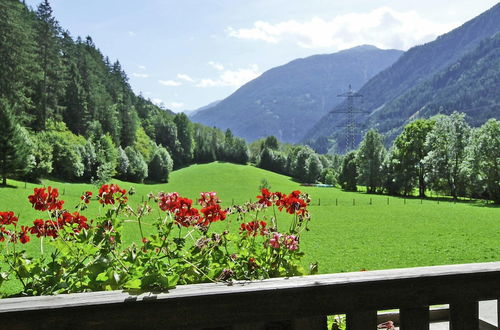 Photo 38 - Flat Near Hohe Tauern National Park