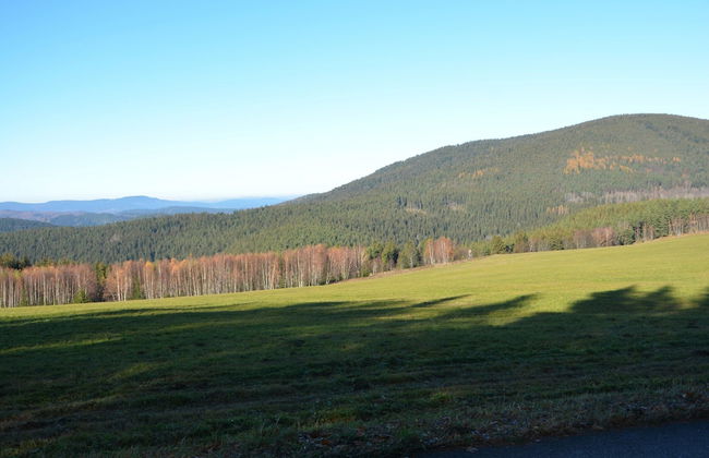 Cozy Forest Adventure Stay - Foto 18
