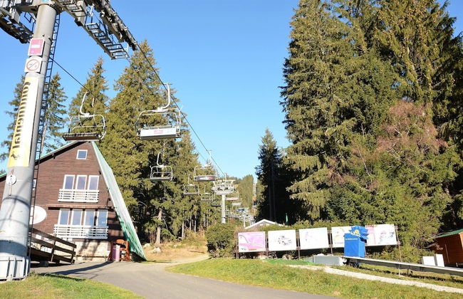Cozy Forest Adventure Stay - Foto 35
