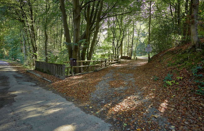 Jalhay Pondside Forest Home - Foto 30