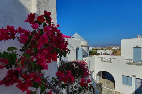 Photo 38 - Teoria Paros | Matsas Windmill