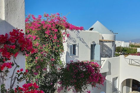 Photo 26 - Teoria Paros | Matsas Windmill