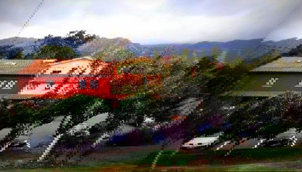 Imagem principal