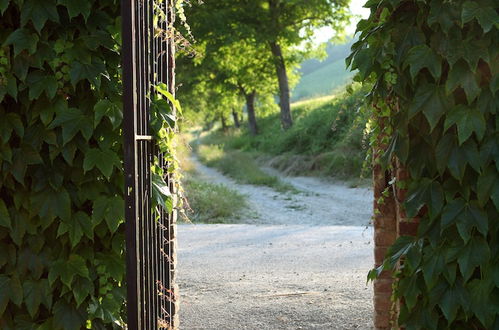 Photo 12 - Tenuta Guazzaura