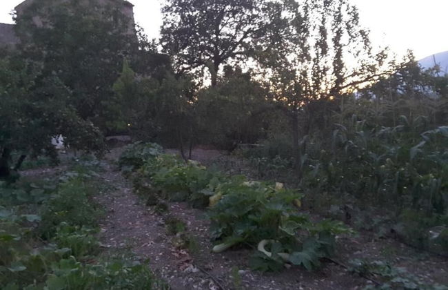 Giardino Donna Lavia - Foto 38