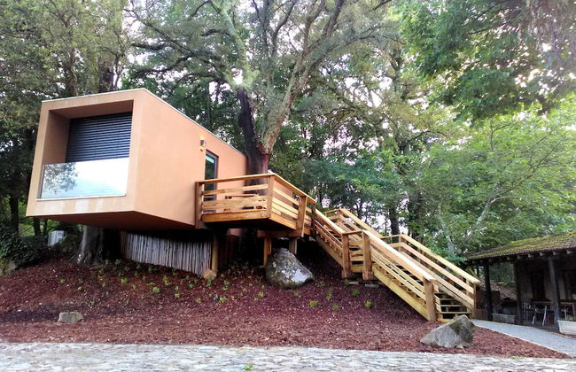Quinta do Pomar Maior - Foto 5