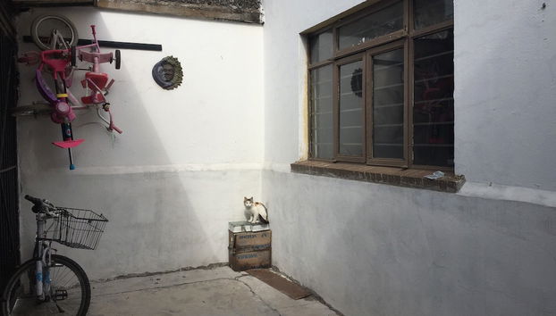 Ingresso interno