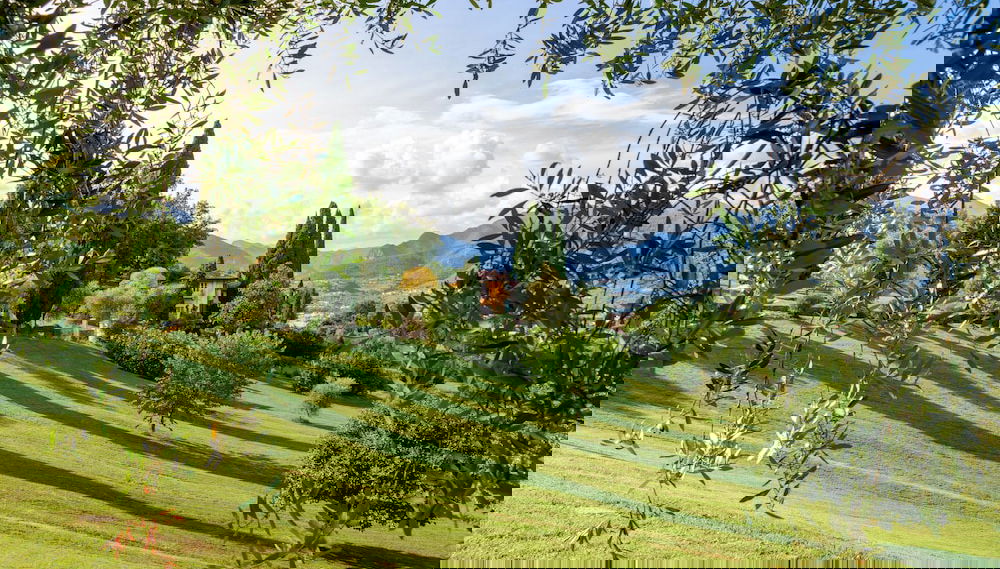 Imagem principal