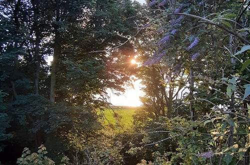 Photo 13 - Off Grid Hideaway on the West Coast of Scotland