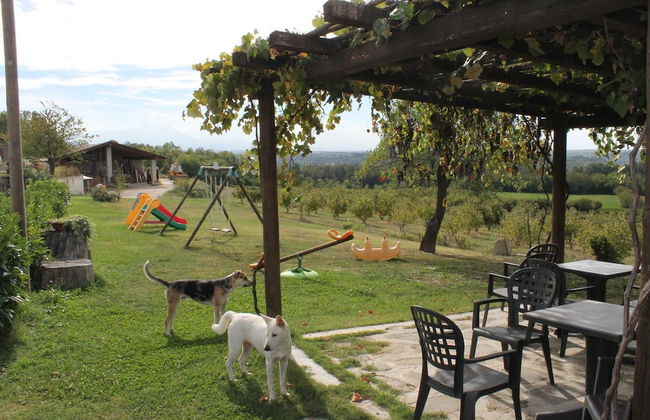 Agriturismo Il Palazzetto - Photo 21
