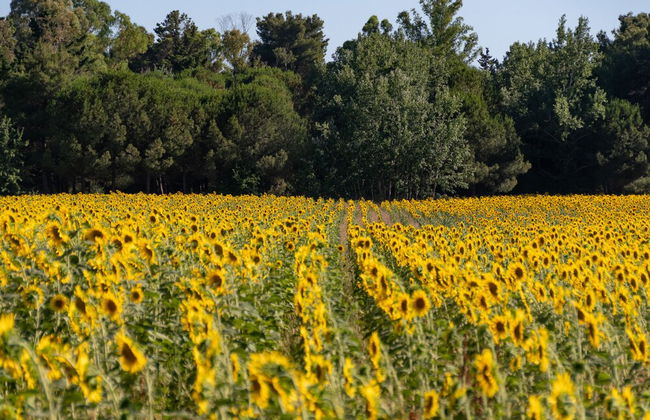Villaggio Mare Verde - Foto 63