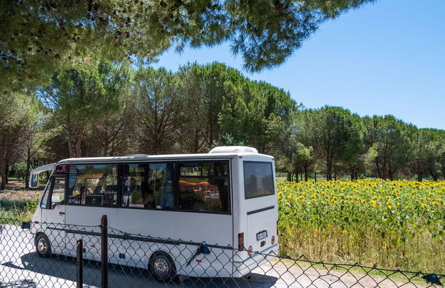 Villaggio Mare Verde - Foto 50