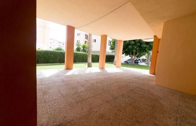Jacinto - Foto 31