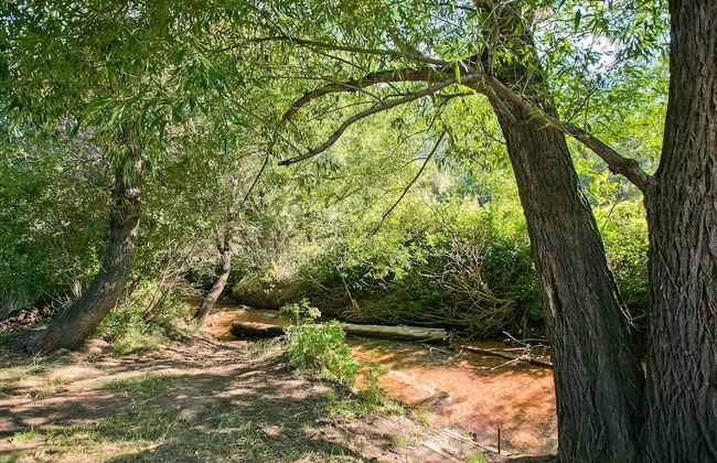 7 Bedroom on the Side of Pikes Peak on a Mountain Stream - Foto 49