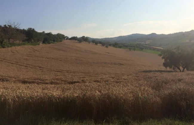B&B Azienda Perconti - Foto 32