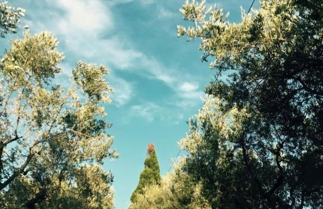 B&B Azienda Perconti - Foto 41