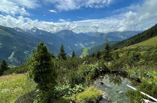 Photo 33 - Apartment Between Mayrhofen and Finkenberg