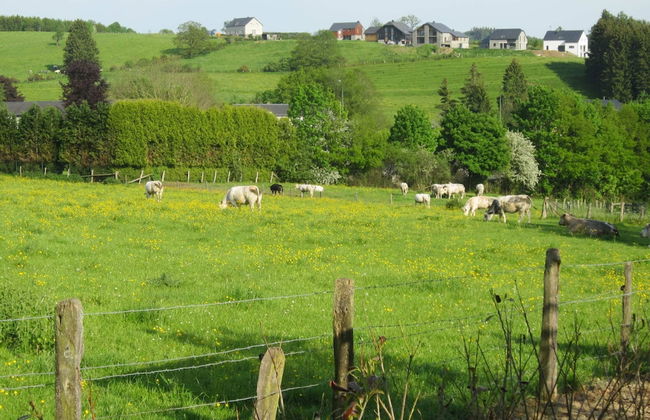 Ardennes Getaway in Houffalize - Foto 49