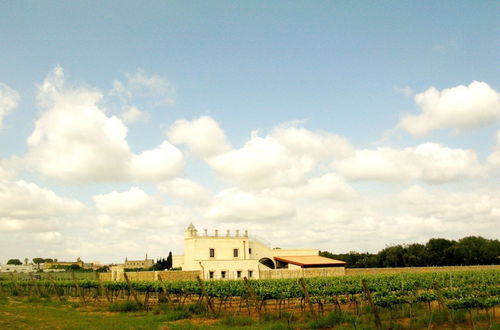 Photo 54 - Masseria San Polo