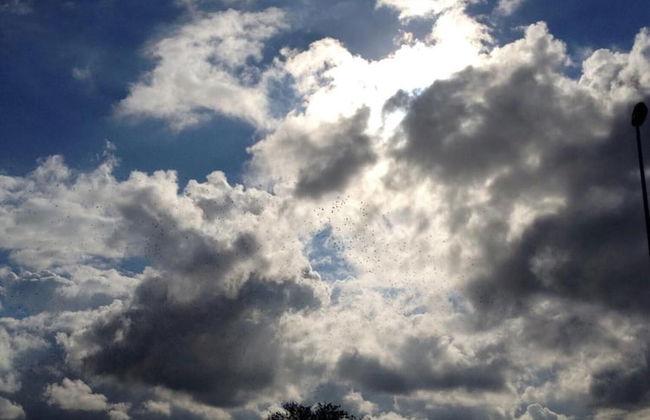 Masseria San Polo - Foto 31