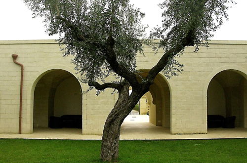 Foto 47 - Masseria San Polo