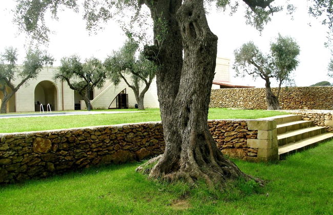 Masseria San Polo - Foto 33