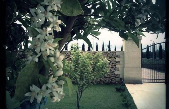 Masseria San Polo - Foto 30