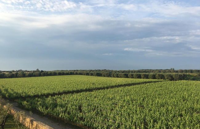 Masseria San Polo - Foto 34