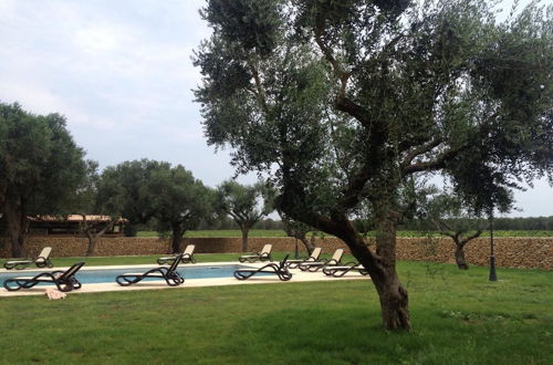 Photo 40 - Masseria San Polo