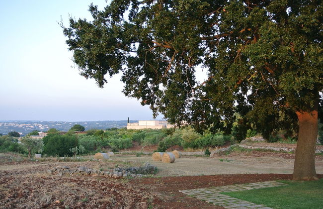 Trulli Paparale - Foto 45