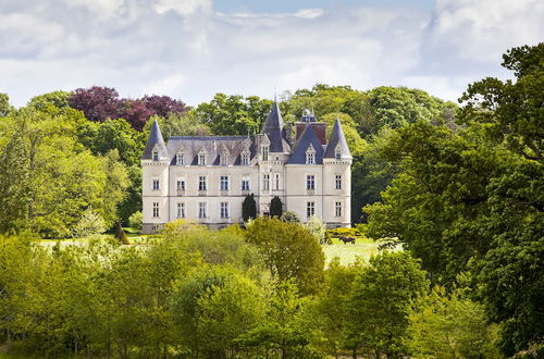 Photo 1 - Château des Tesnières