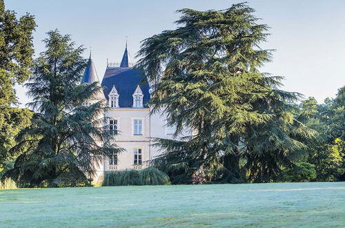 Photo 62 - Château des Tesnières