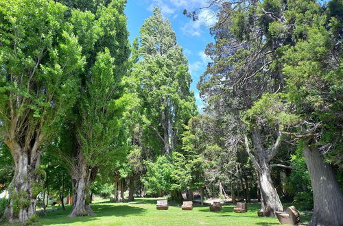 Photo 10 - Rochester Bariloche