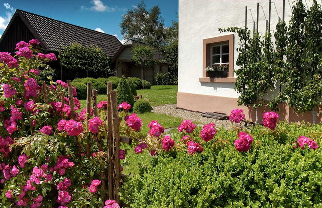Holiday Home in Bullange Near High Fens - Foto 30