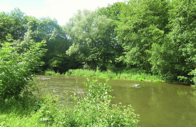 Apartment Near Forest and Hiking Trails - Foto 27
