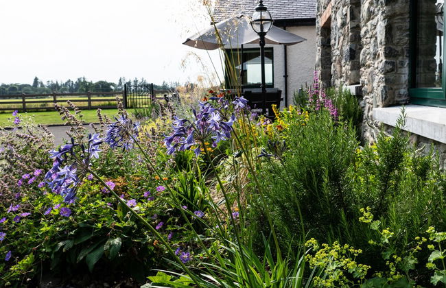 Luxury Castle Lodge - Foto 41