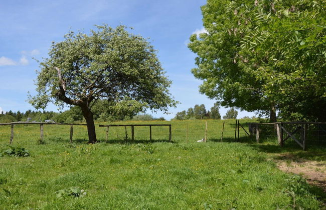 Family Villa in Ferrieres - Foto 17