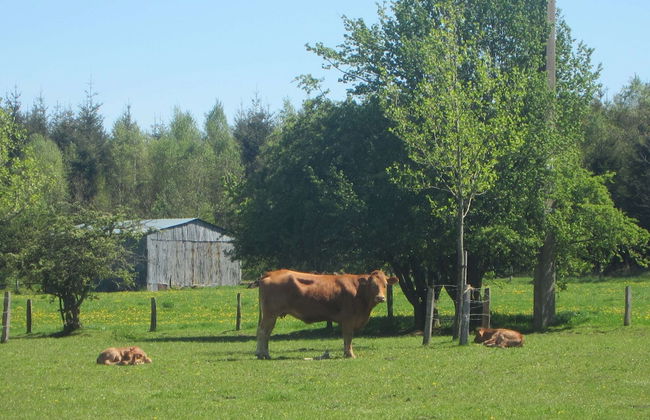 Peaceful Retreat in Ferrieres - Foto 40