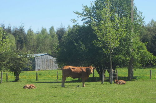 Photo 19 - Delightful Holiday Home With Meadow View