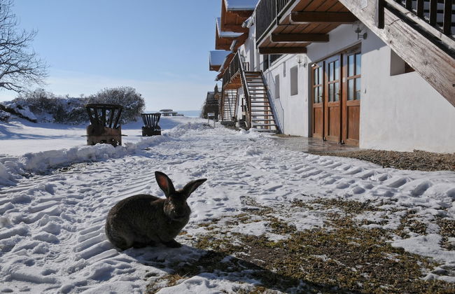 Geinberg Suites & Vianova Lodges - Foto 73